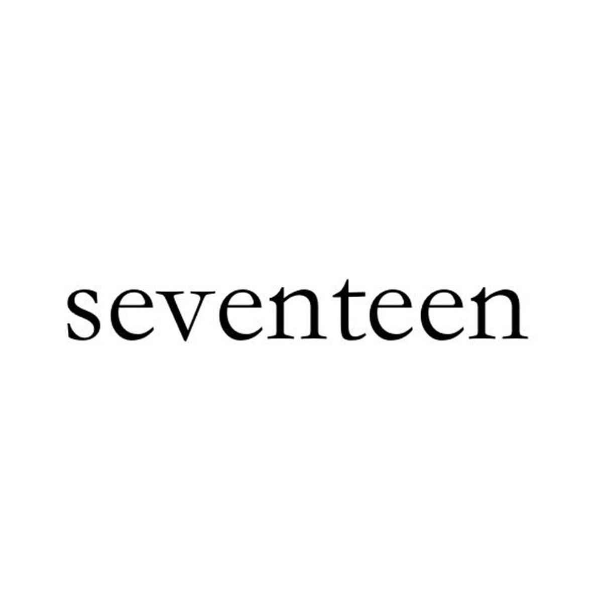 seventeen团标图片