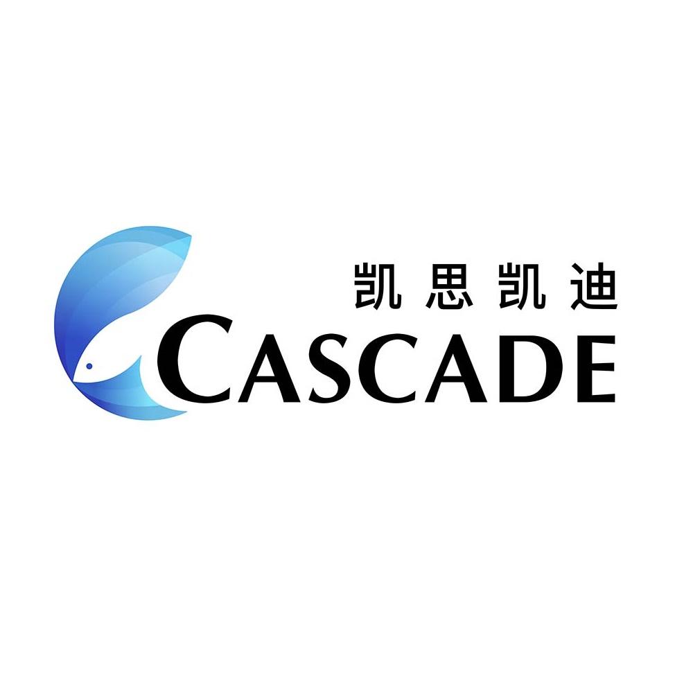 凯迪网站建设_(凯迪网站软件下载与安装)