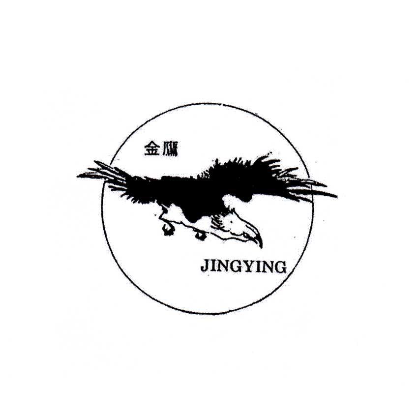 金鹰 jingying 商标公告