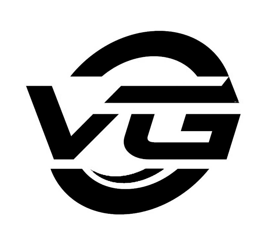 VGlogo图片