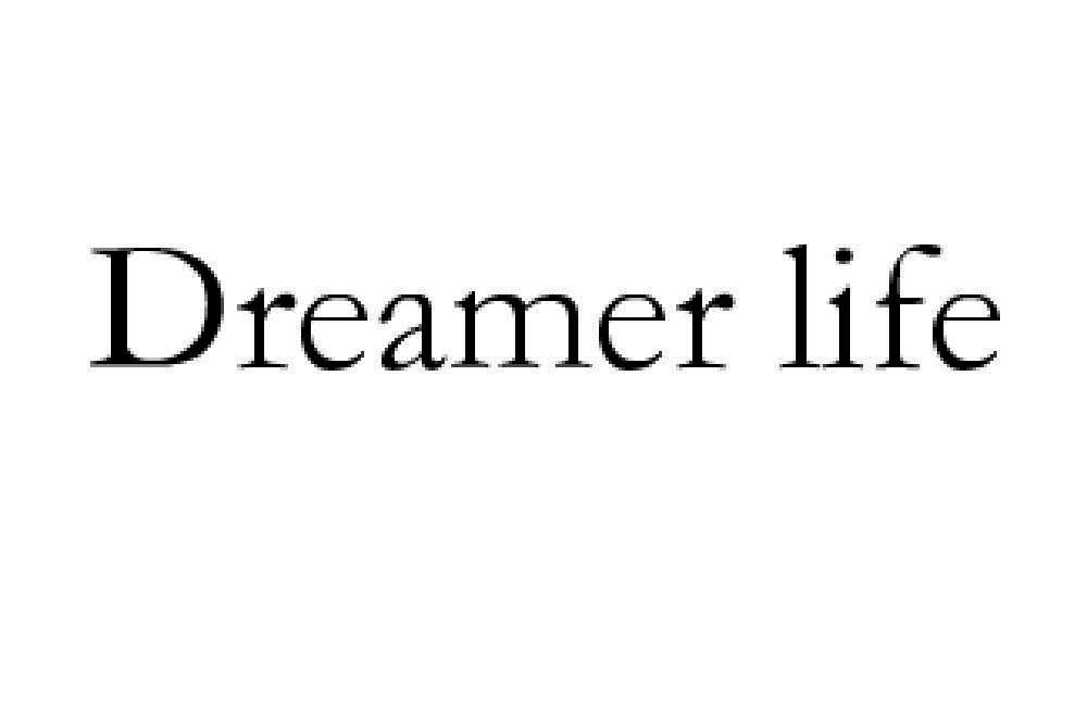dreamer life 商标公告