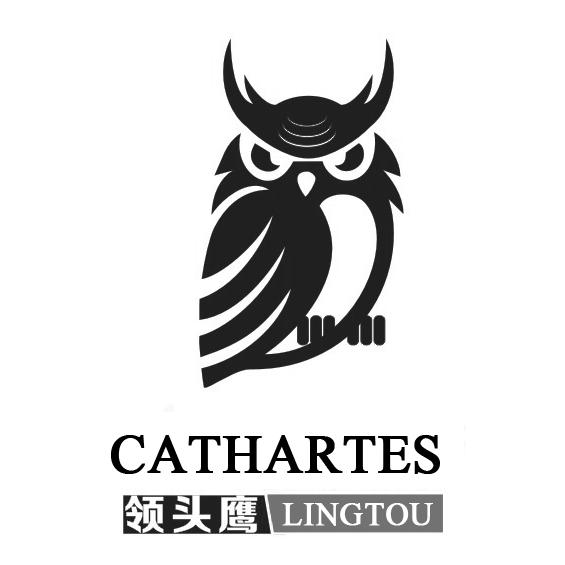 领头鹰 cathartes lingtou