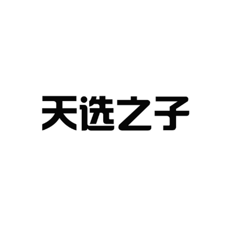 天选之子 商标公告