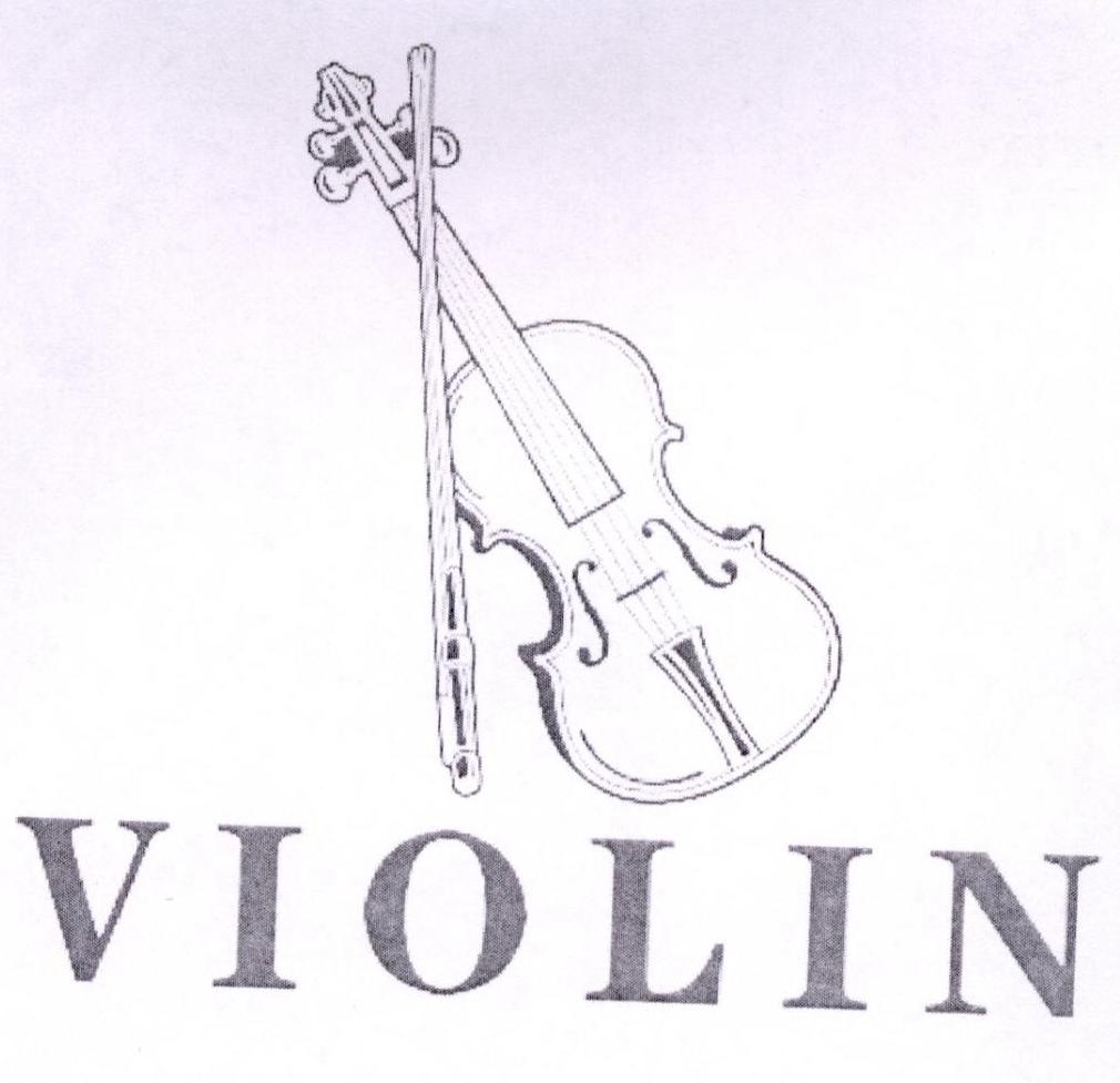 violin 商标公告