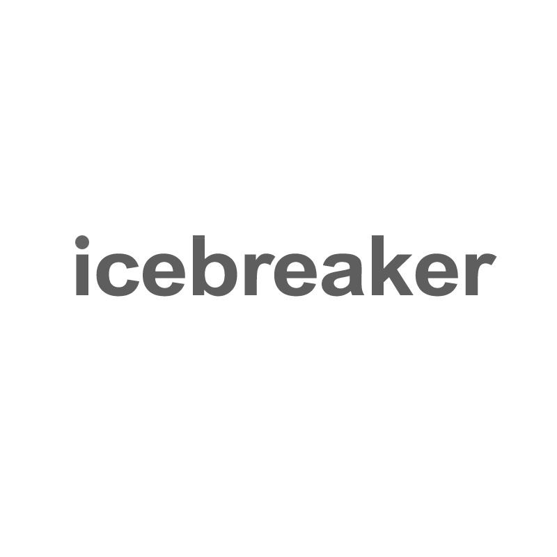 icebreaker商标注册第24类-布料床单类商标注册信息查