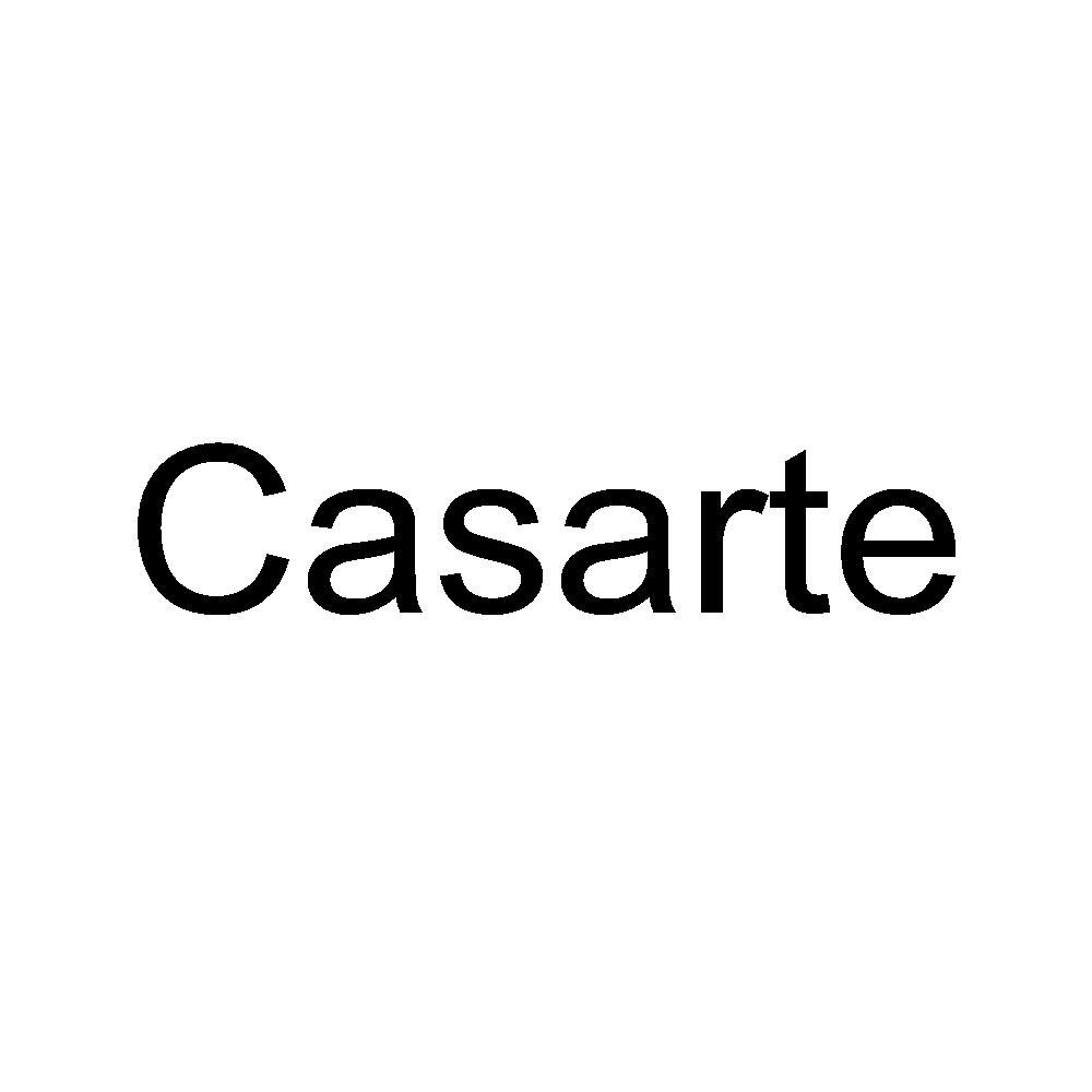 casarte 商标公告