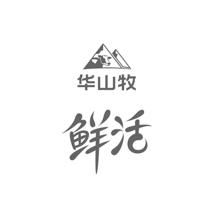 华山牧 鲜活 商标公告