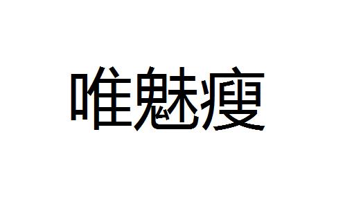 您正在查看唯美s瘦商标