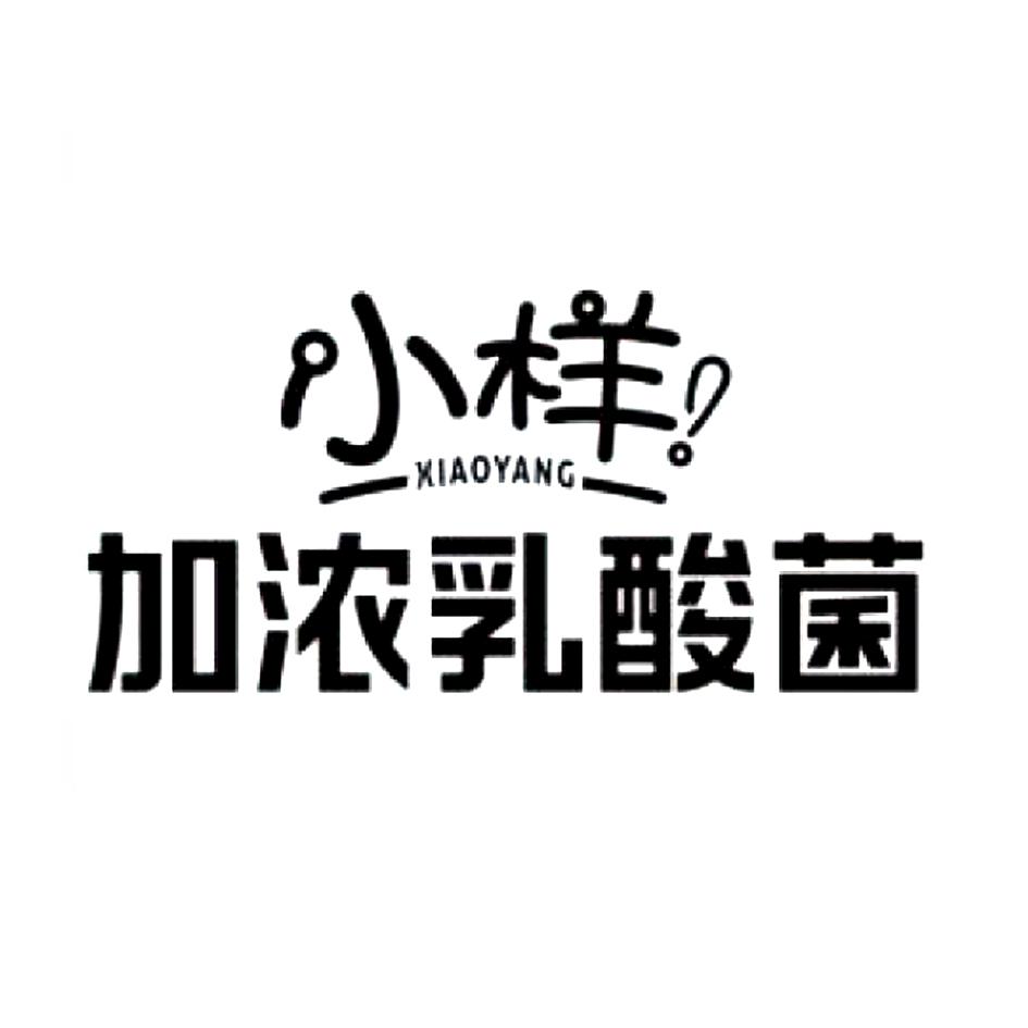 小样 加浓乳酸菌 商标公告