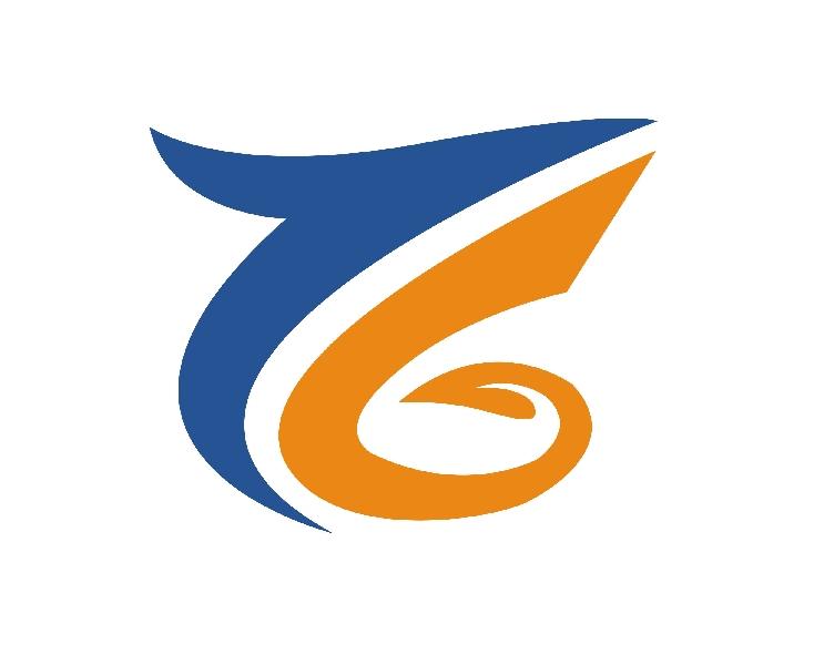 TG字母logo设计图片