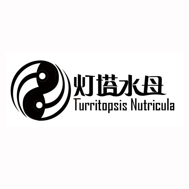 灯塔水母turritopsisnutricula商标公告