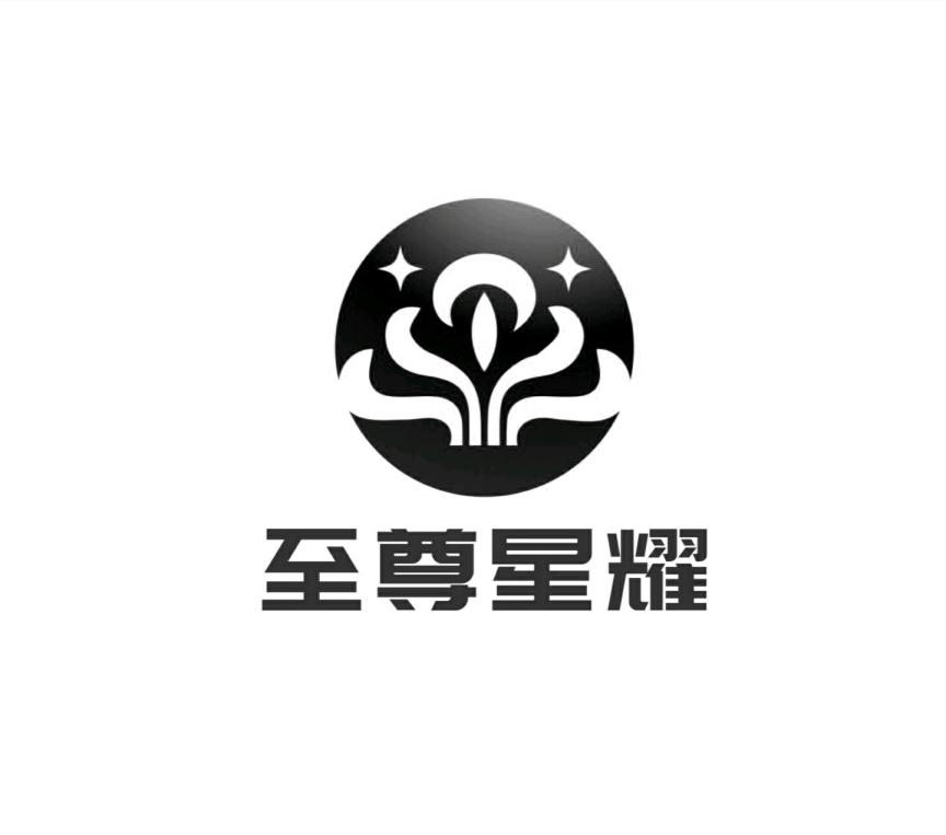 至尊星耀 商标公告