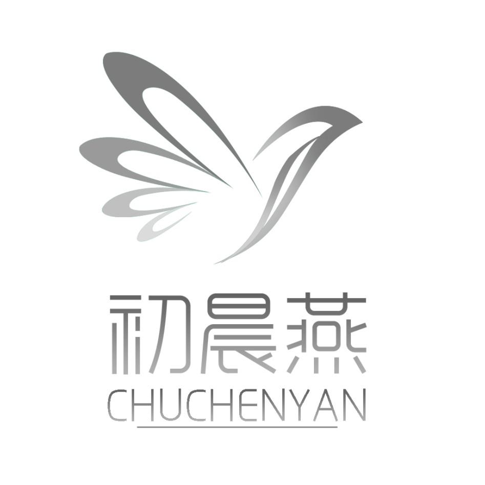 初晨燕 商标公告