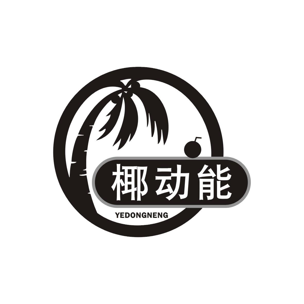 椰动能 商标公告