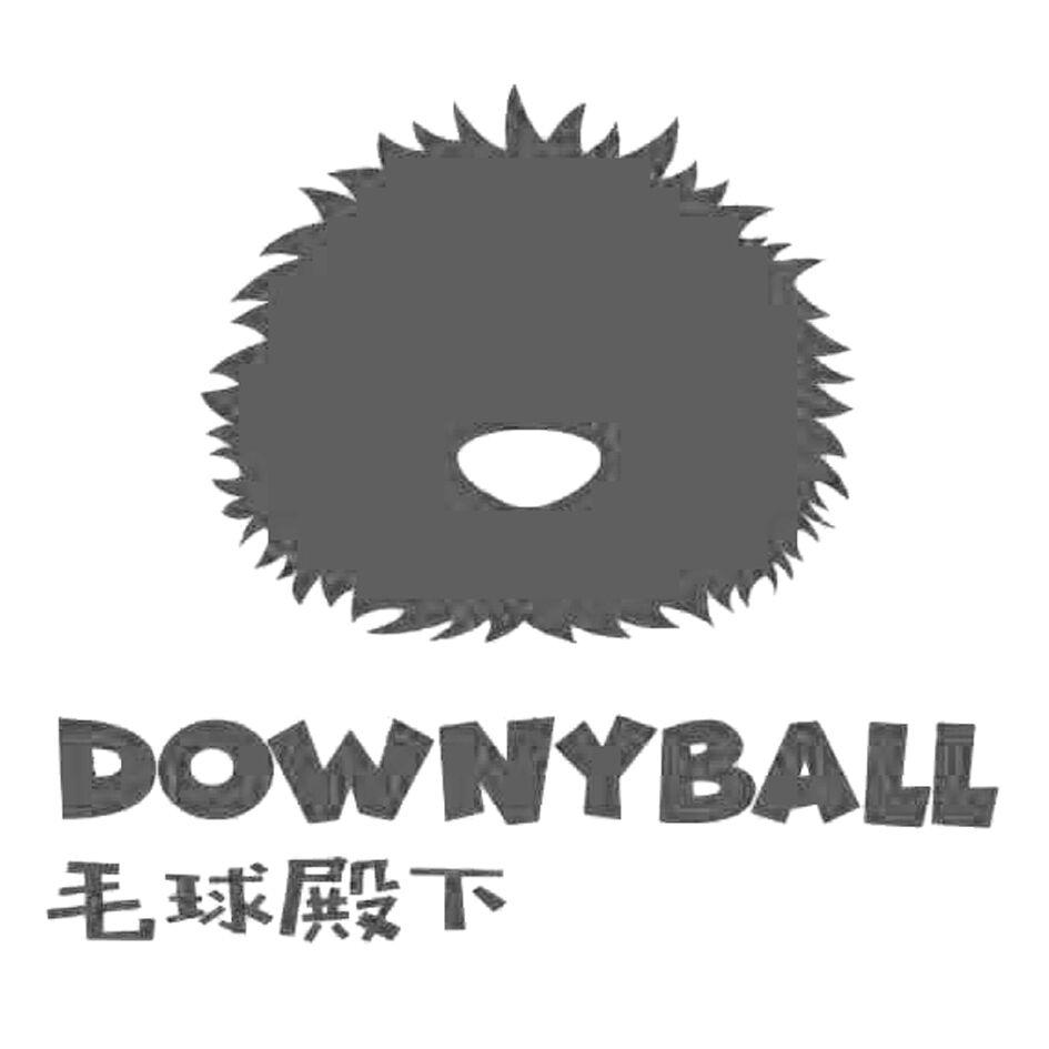 毛球殿下 downyball 商标公告