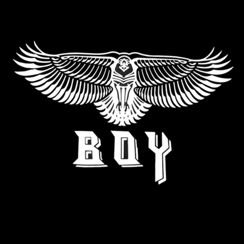 boy 商标公告