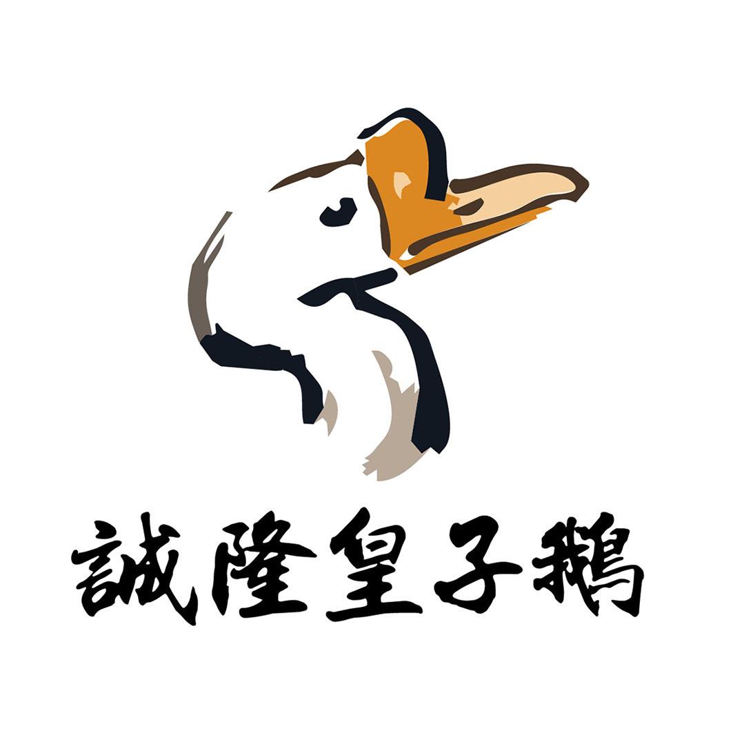 诚隆皇子鹅 商标公告