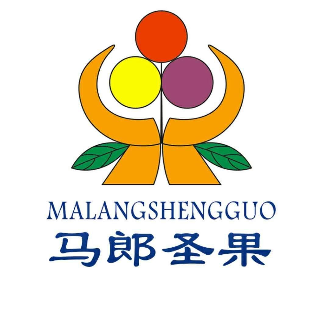 马郎圣果 商标公告