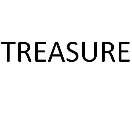 treasure商标公告
