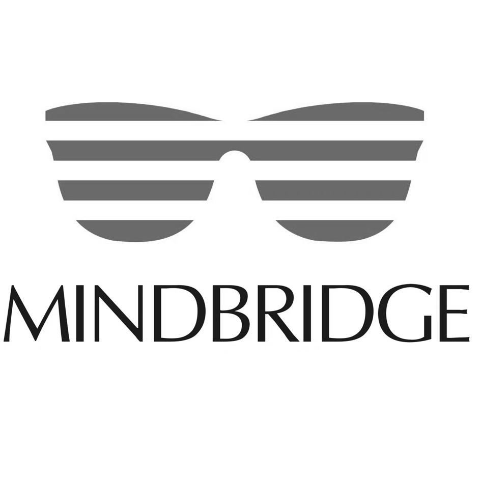 mindbridge 商标公告