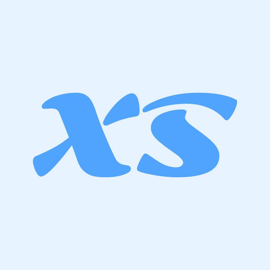 xs 商标公告