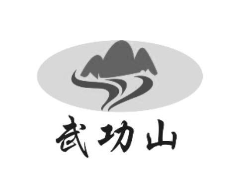 武功山 商标公告