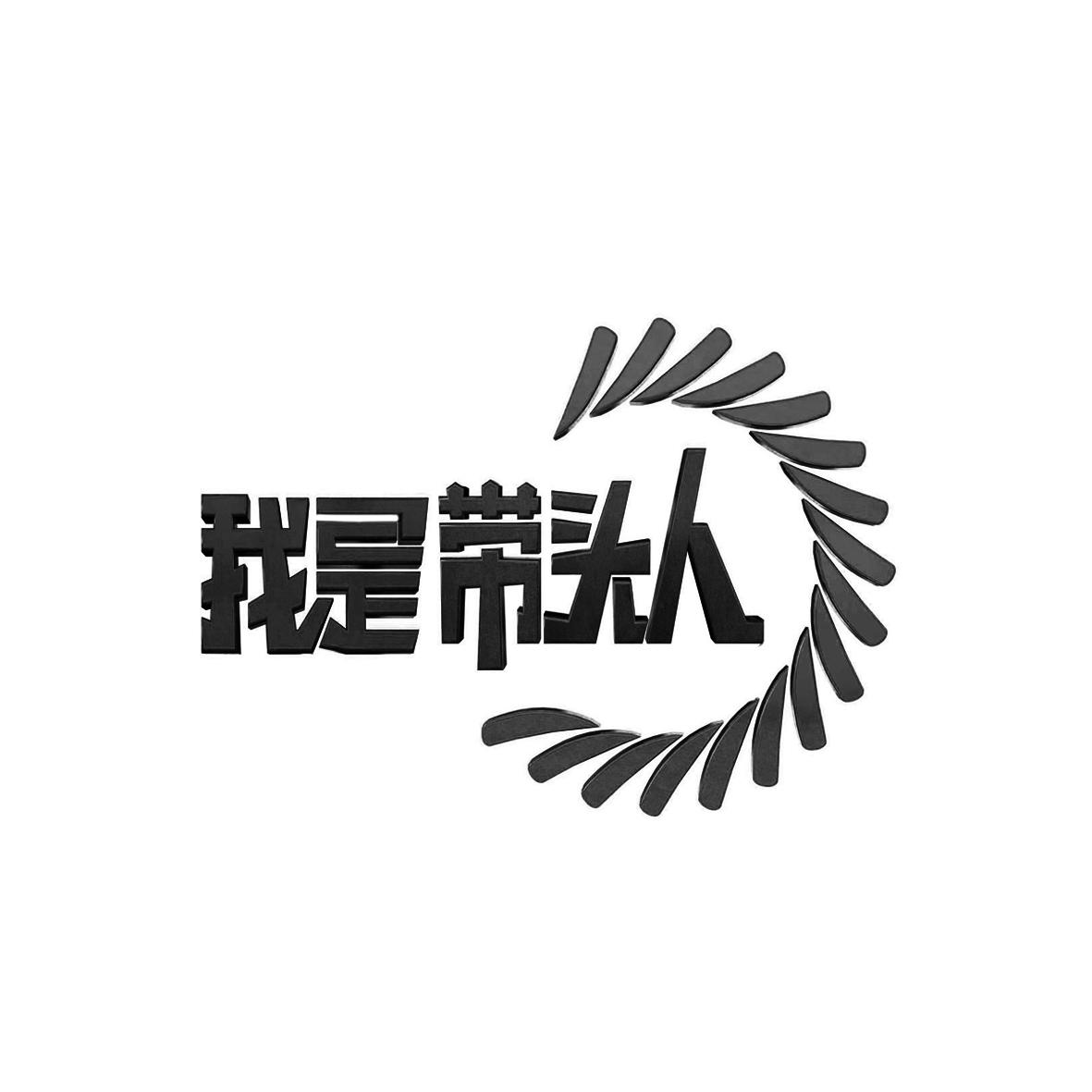 我是带头人 商标公告