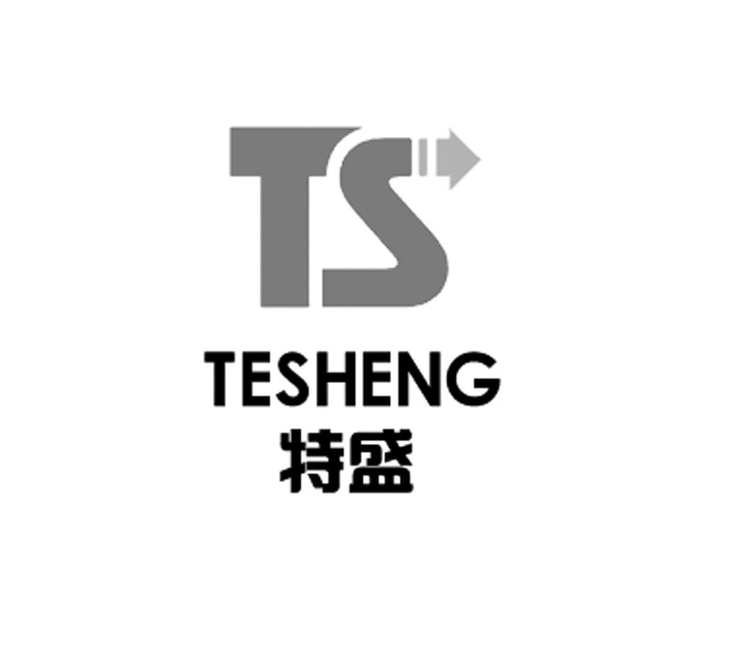 特盛 ts 商标公告