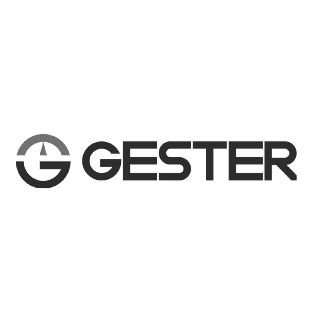 gester 商标公告