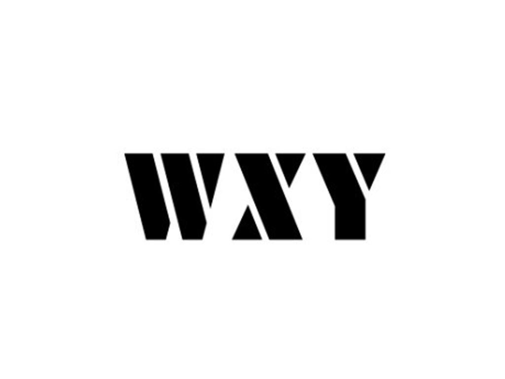 wxy 商标公告