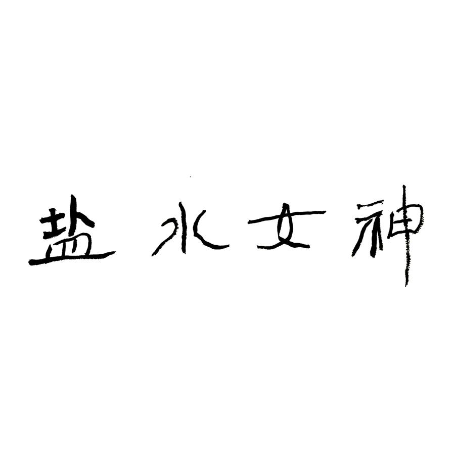 盐水女神 商标公告