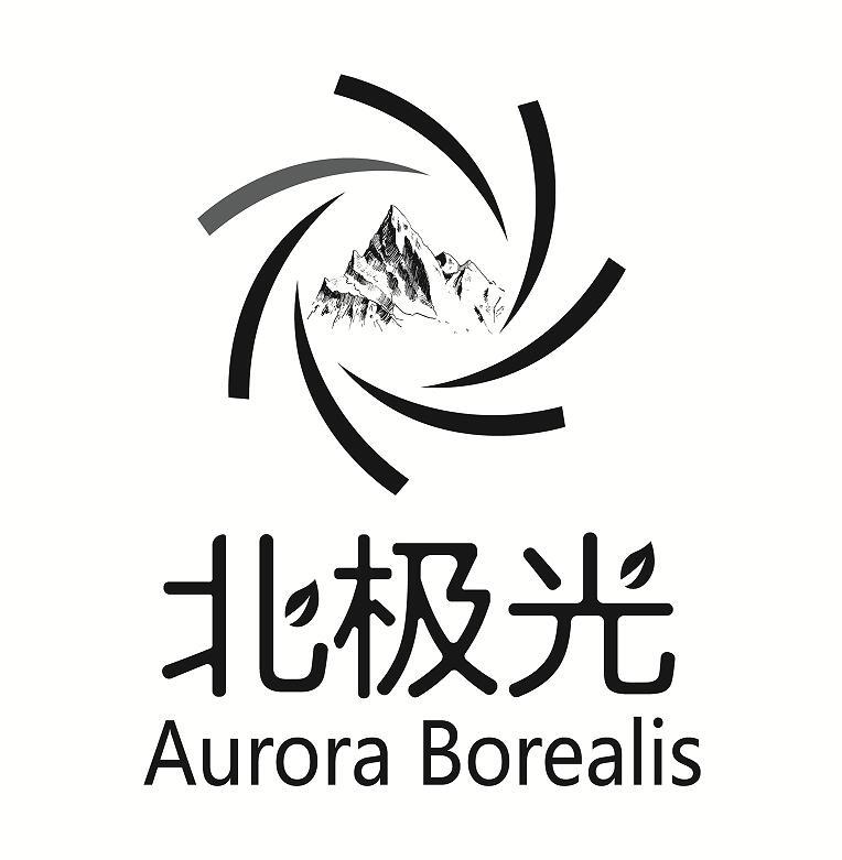 北极光 aurora borealis 商标公告