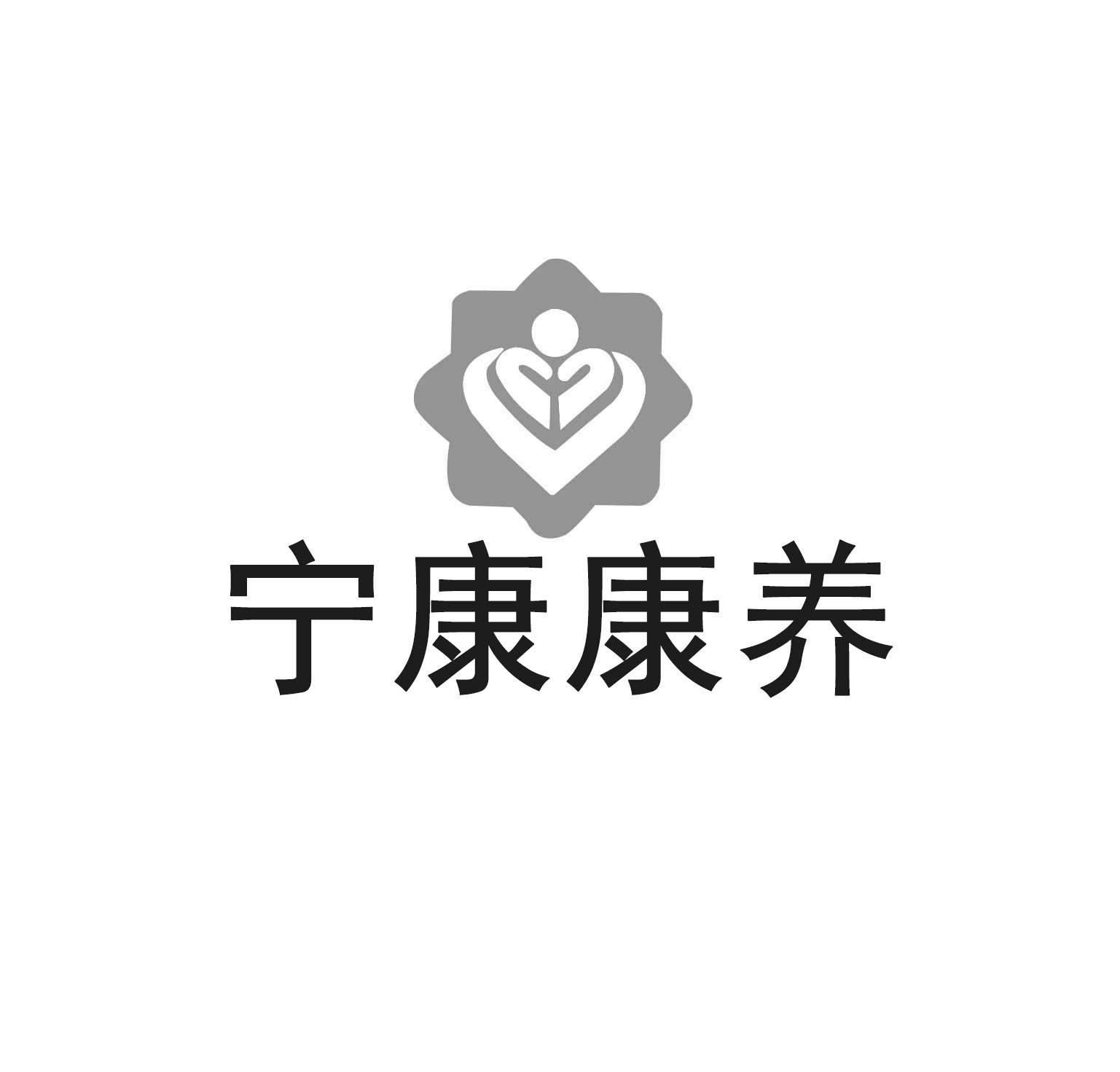 宁康康养 商标公告