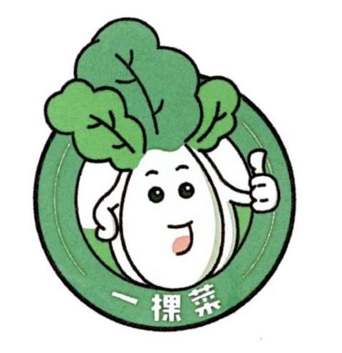 一棵菜 商标公告