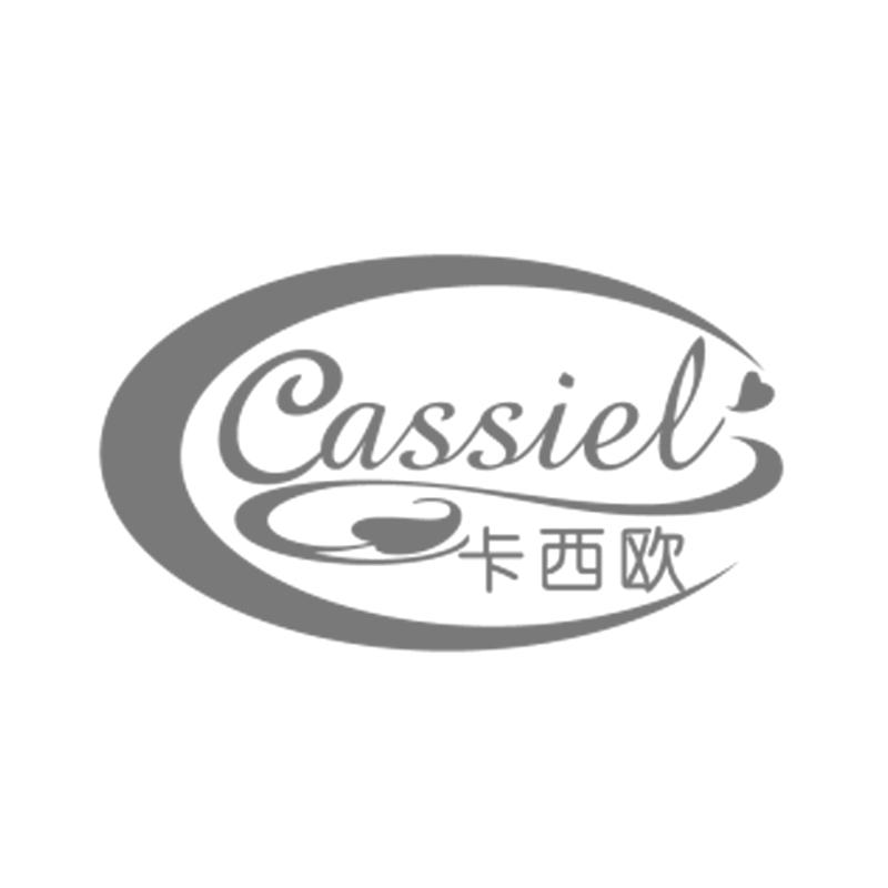 卡西欧 cassiel 商标公告