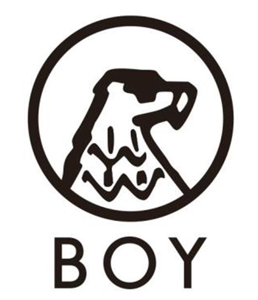 boy 商标公告