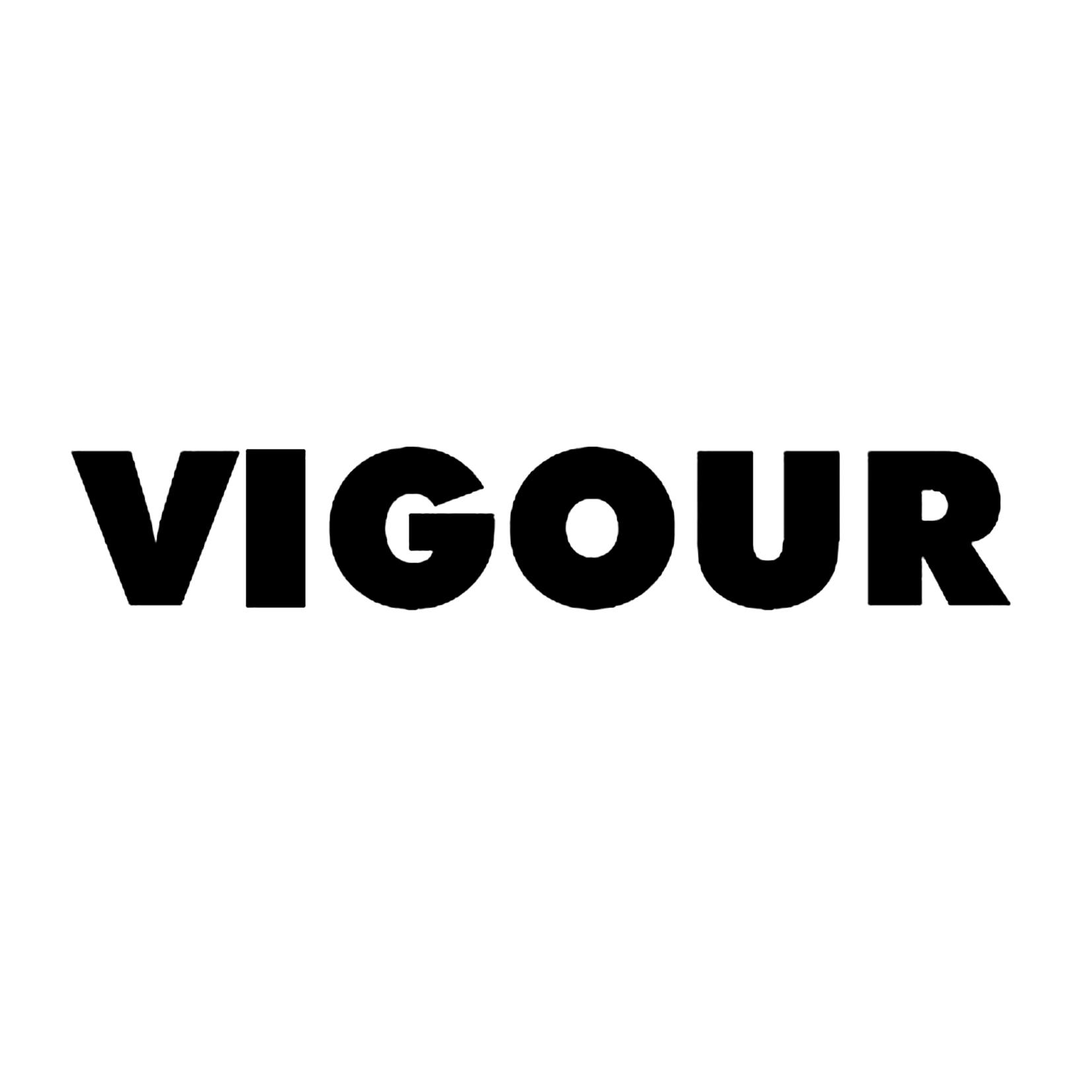 vigour 商标公告