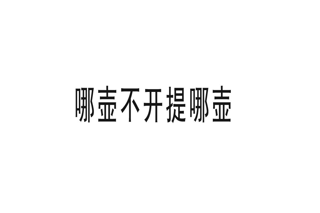 哪壶不开提哪壶 商标公告
