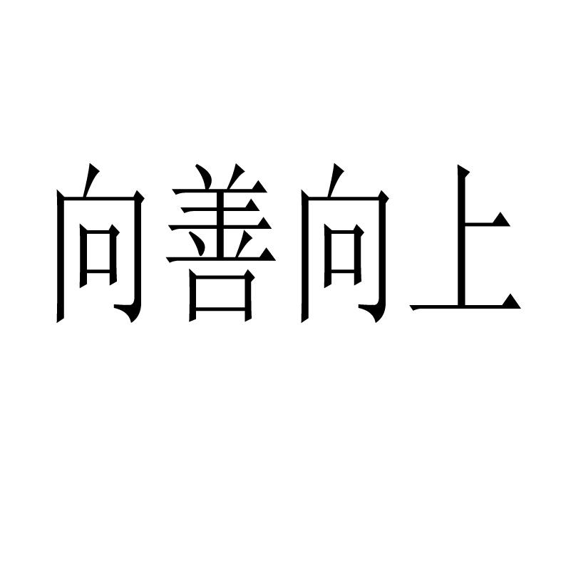 向善向上 商标公告