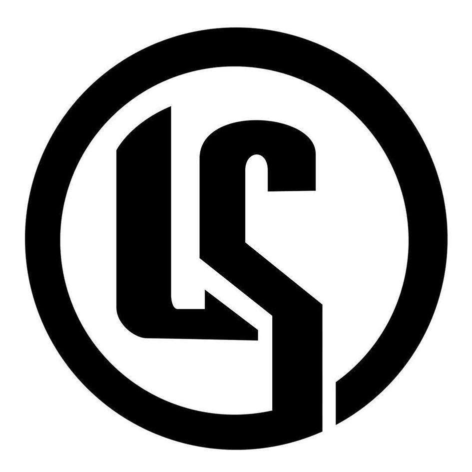 ls标志logo设计图片图片