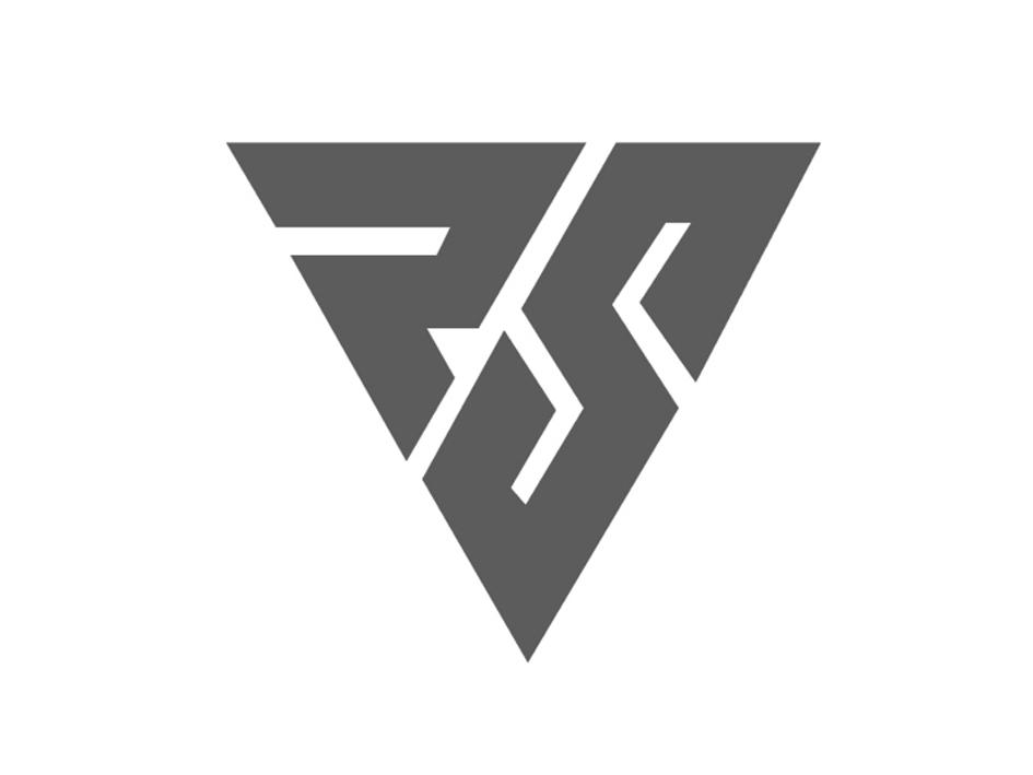 rs 商标公告