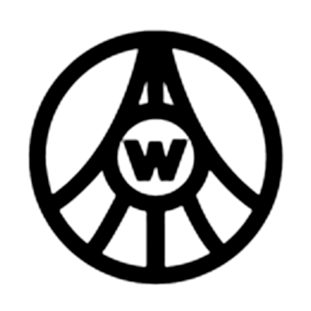 w 商标公告
