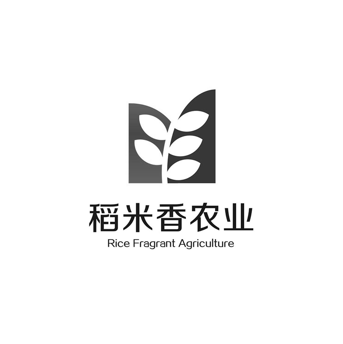 稻米香农业 rice fragrant agriculture