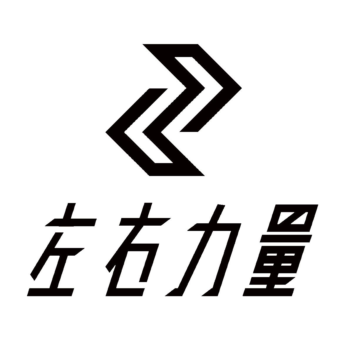 左右力量 商标公告