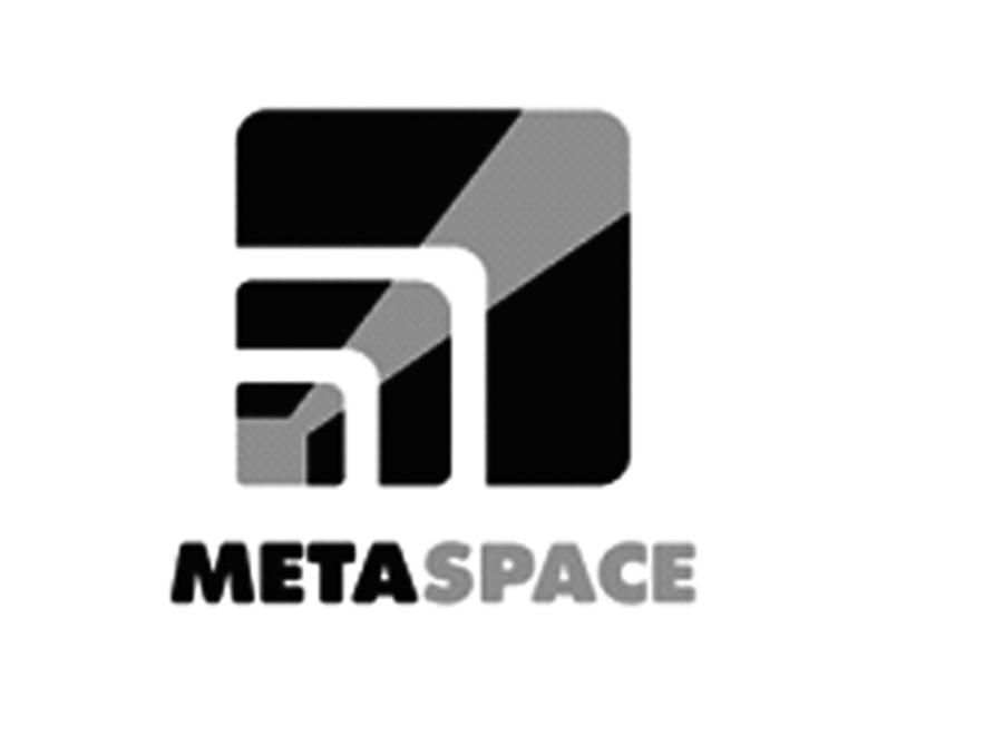 metaspace 商标公告