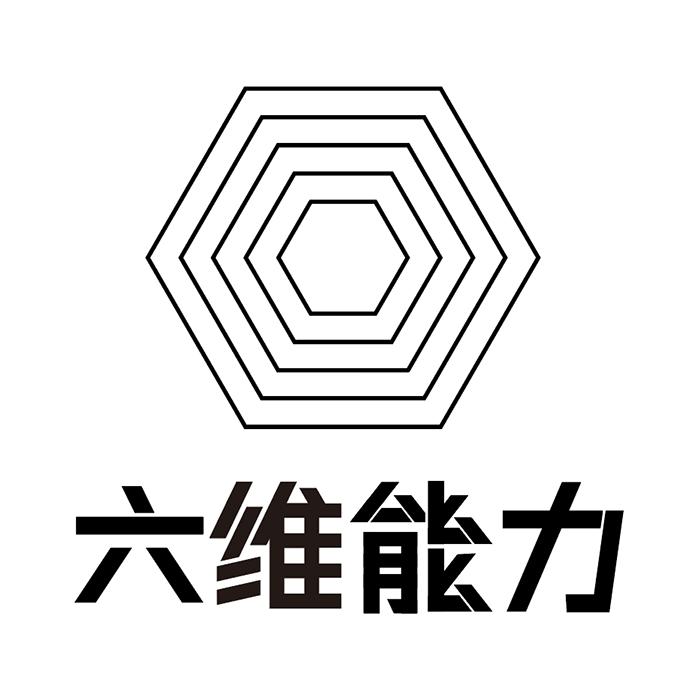 六维能力