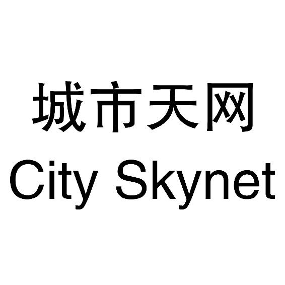 城市天网 city skynet