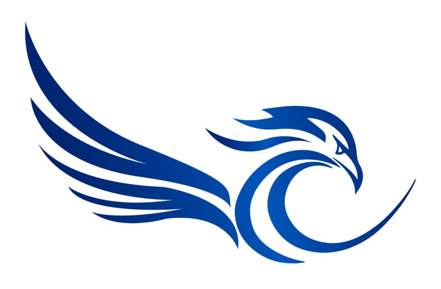 > 雄鹏资产管理(上海)有限公司