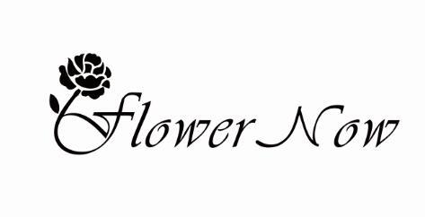 flower now商标公告