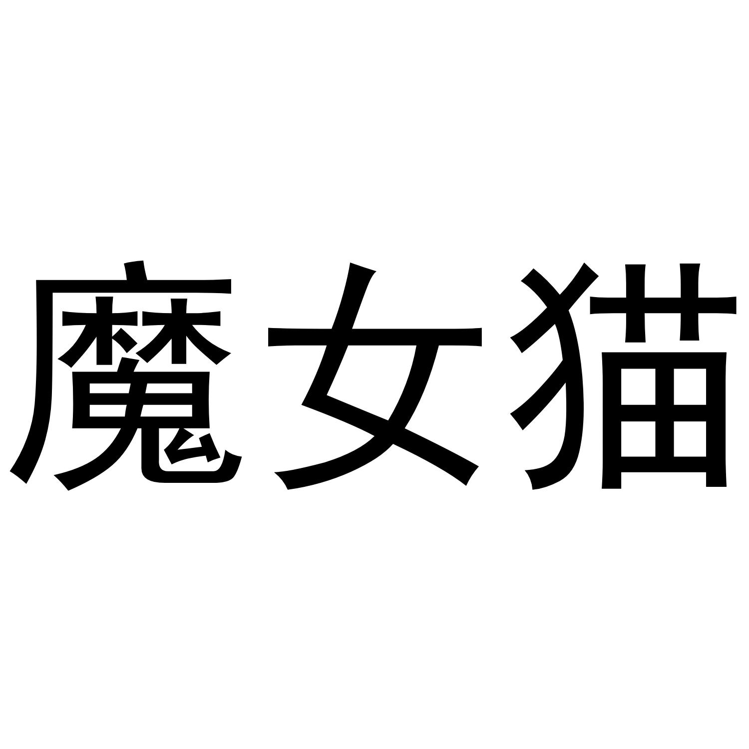 魔女猫 商标公告